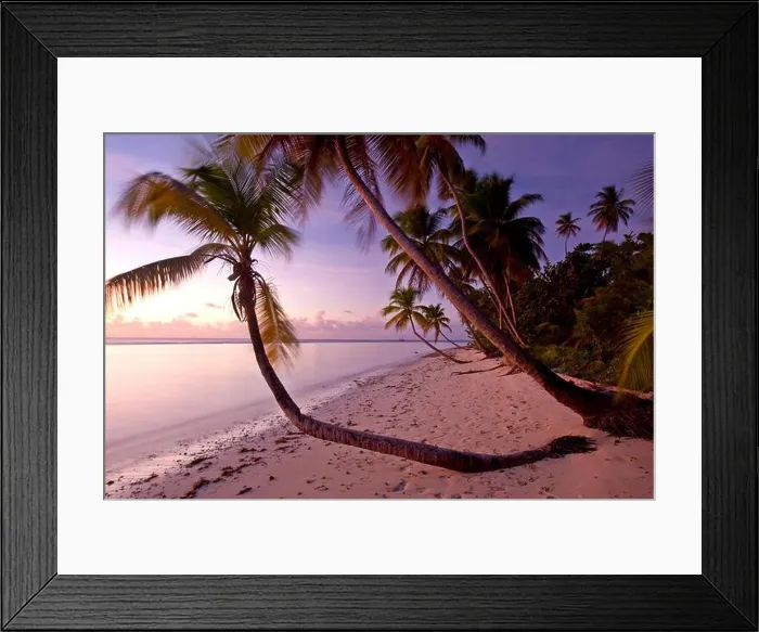 Framed Print : Palm trees line a beautiful beach in Tobago; Pigeon Point, Tobago, Trinidad and Tobago Framed Print : Palm trees line a beautiful beach in Tobago; Pigeon Point, Tobago, Trinidad and Tobago