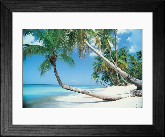 Framed Print : Pigeon Point Tobago Trinidad Tobago Framed Print : Pigeon Point Tobago Trinidad Tobago