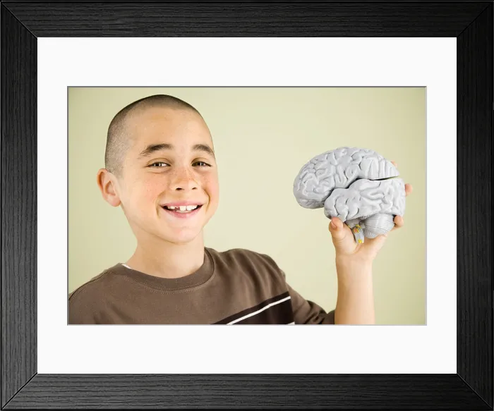 Framed Print : Boy holding human brain model Framed Print : Boy holding human brain model