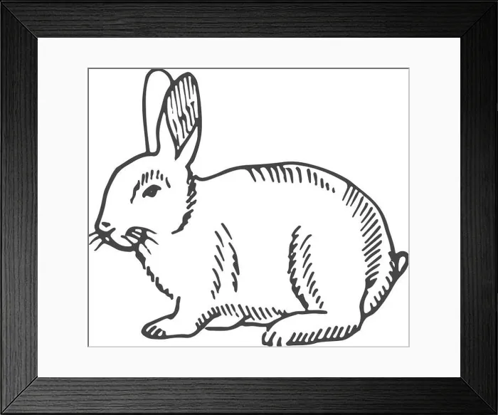 Framed Print : Rabbit sketch. Hand drawn bunny. Farm animal Framed Print : Rabbit sketch. Hand drawn bunny. Farm animal