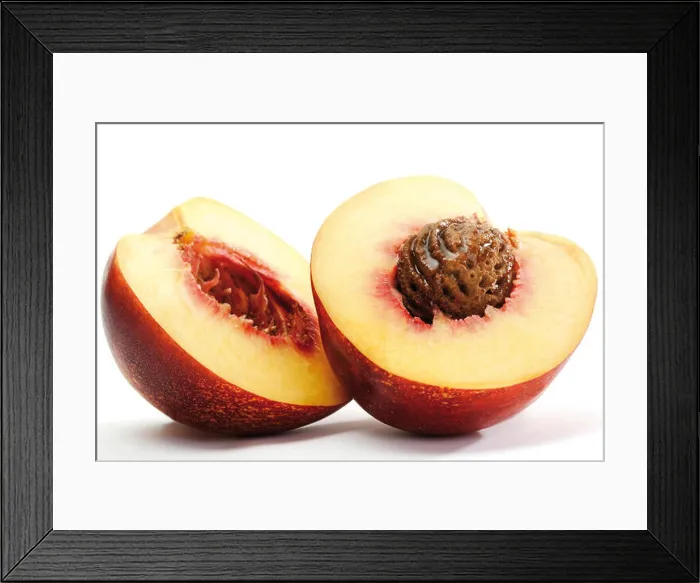 Framed Print : Nectarine cut in half Framed Print : Nectarine cut in half