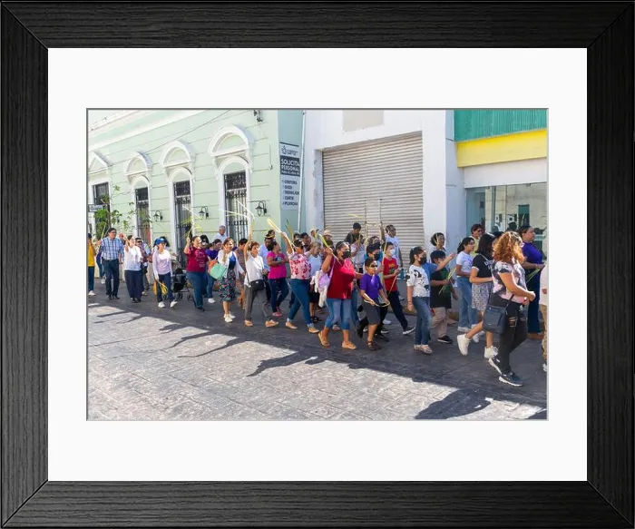 Framed Print : Procession of people carrying palm leaves on Palm Sunday, Easter 2023, Merida, Yucatan State, Mexico Framed Print : Procession of people carrying palm leaves on Palm Sunday, Easter 2023, Merida, Yucatan State, Mexico