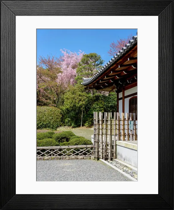Framed Print : Traditional architecture and garden of Kuri building in the Ryoanji temple Framed Print : Traditional architecture and garden of Kuri building in the Ryoanji temple
