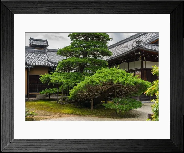 Framed Print : Living quarters at Kuri Hall, Kinkakuji Temple Framed Print : Living quarters at Kuri Hall, Kinkakuji Temple