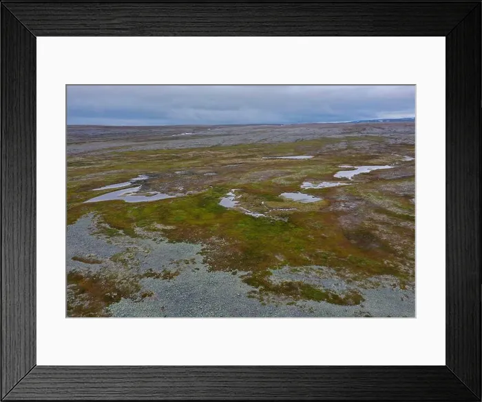 Framed Print : Tundra in Norwegen, mit Feuchtgebieten Framed Print : Tundra in Norwegen, mit Feuchtgebieten