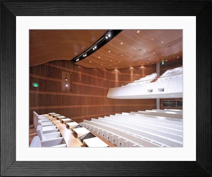 Framed Print : caixa galicia foundation art gallery overall auditorium view Framed Print : caixa galicia foundation art gallery overall auditorium view