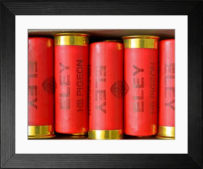 Framed Print : Red 12 bore shotgun cartridges Framed Print : Red 12 bore shotgun cartridges