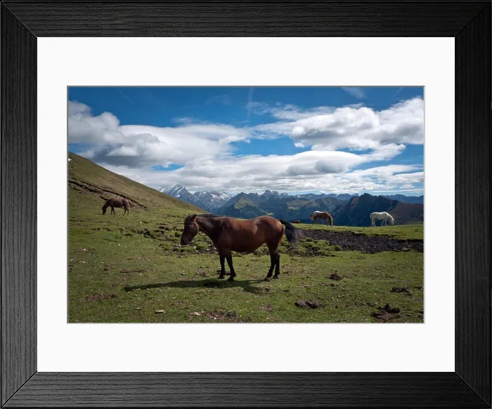 Framed Print : Dolomites, Trentino Alto Adige, Italy: horse on a trail in Fassa valley Framed Print : Dolomites, Trentino Alto Adige, Italy: horse on a trail in Fassa valley
