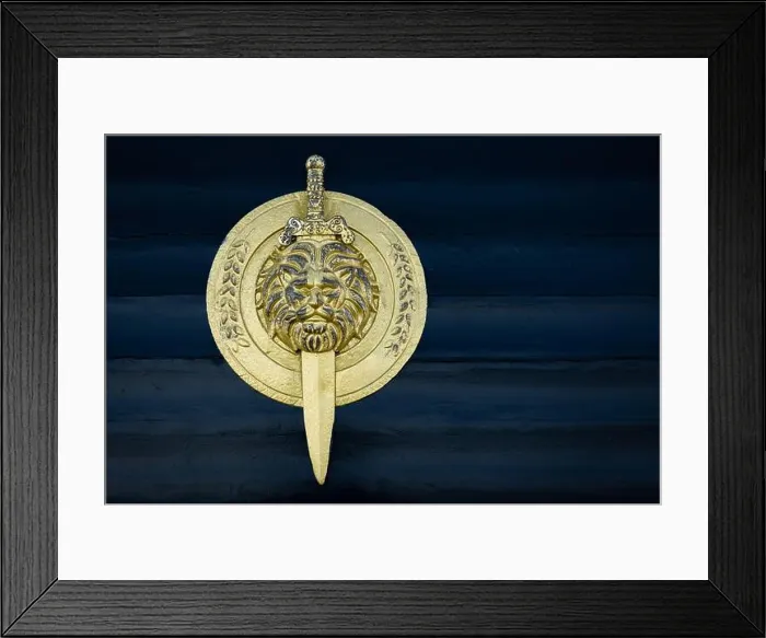 Framed Print : Shield with lion head isolated on dark wooden background Framed Print : Shield with lion head isolated on dark wooden background