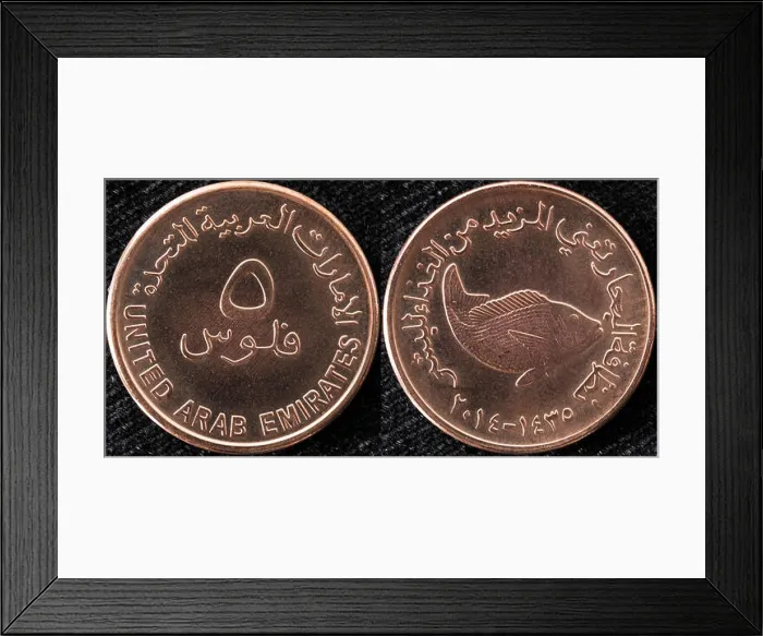 Framed Print : 5 fils coin, United Arab Emirates, 2014 Framed Print : 5 fils coin, United Arab Emirates, 2014