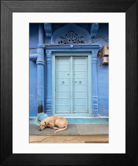 Framed Print : Dog in front of Ornate Door, Blue City, Jodhpur, Rajasthan, India