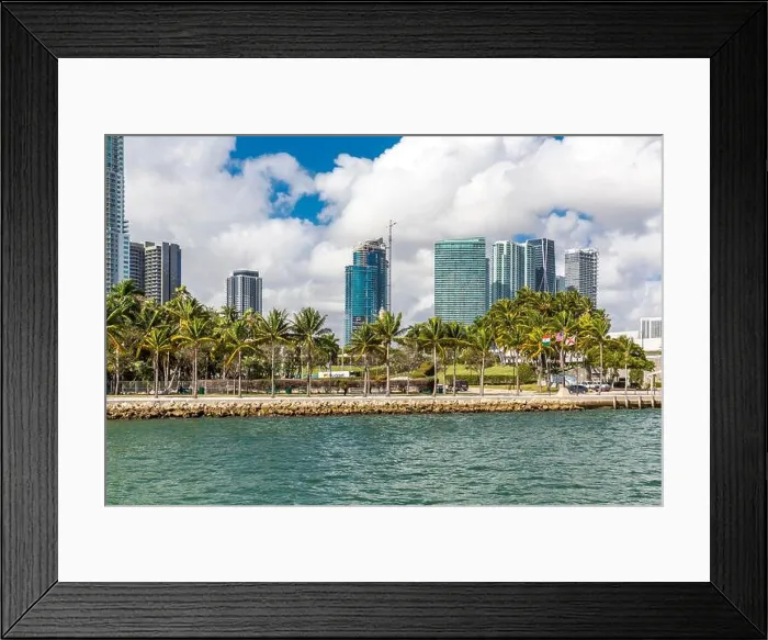 Framed Print : Bayfront Park with Skyline, Miamarina