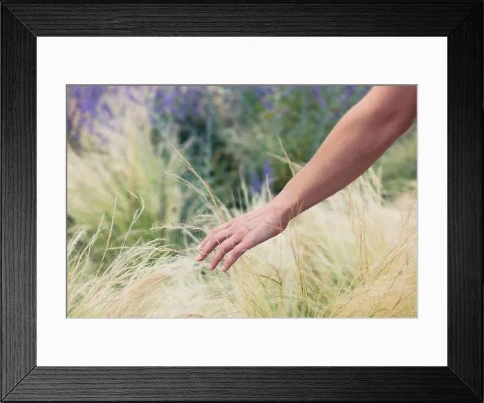 Framed Print : A young female hand is touching some grass outside in summer Framed Print : A young female hand is touching some grass outside in summer