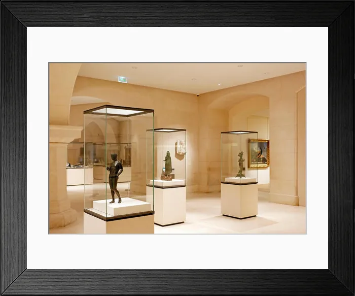Framed Print : Frane, Paris, 8th, Petit Palais