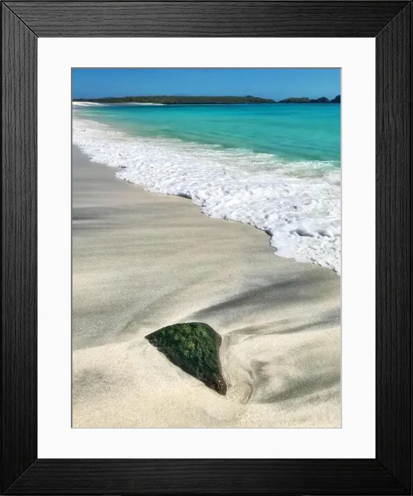 Framed Print : Beach on Espanola, Galápagos Islands Framed Print : Beach on Espanola, Galápagos Islands