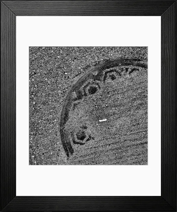 Framed Print : Manhole cover underneath dirt Framed Print : Manhole cover underneath dirt