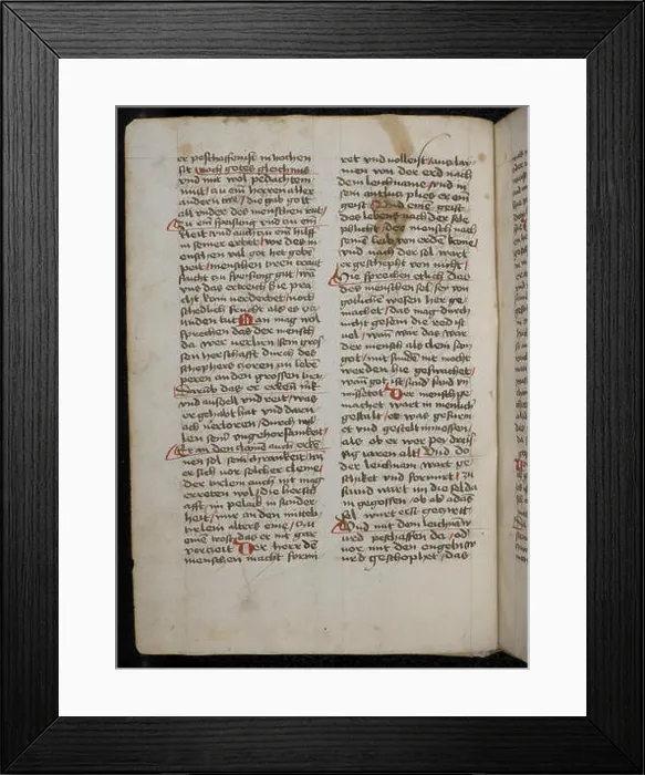 Framed Print : DE CPG334 Beheim 022 is a manuscript from the collection of medieval works Framed Print : DE CPG334 Beheim 022 is a manuscript from the collection of medieval works