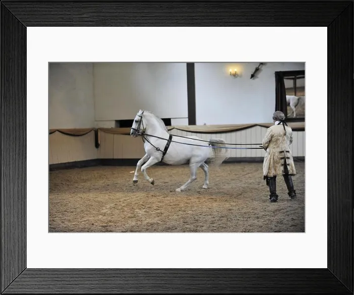Framed Print : Wolfgang Krischke mit Lipizzaner Maestoso Amata Framed Print : Wolfgang Krischke mit Lipizzaner Maestoso Amata