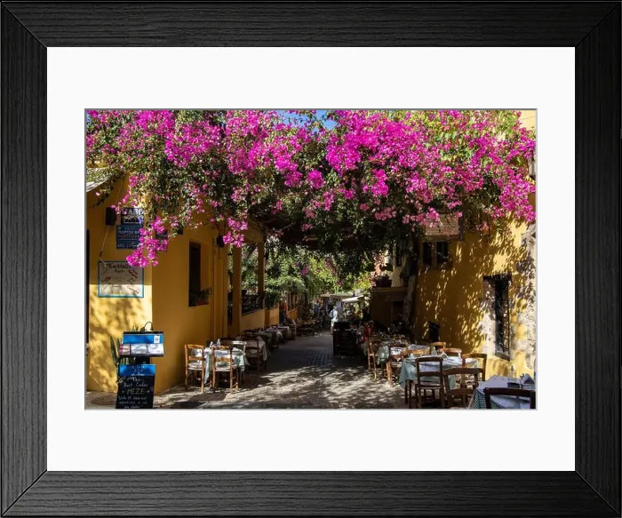 Framed Print : Blooming purple bougainvillea forms a canopy over the restaurant tables of taverna in alleyway of old town Framed Print : Blooming purple bougainvillea forms a canopy over the restaurant tables of taverna in alleyway of old town