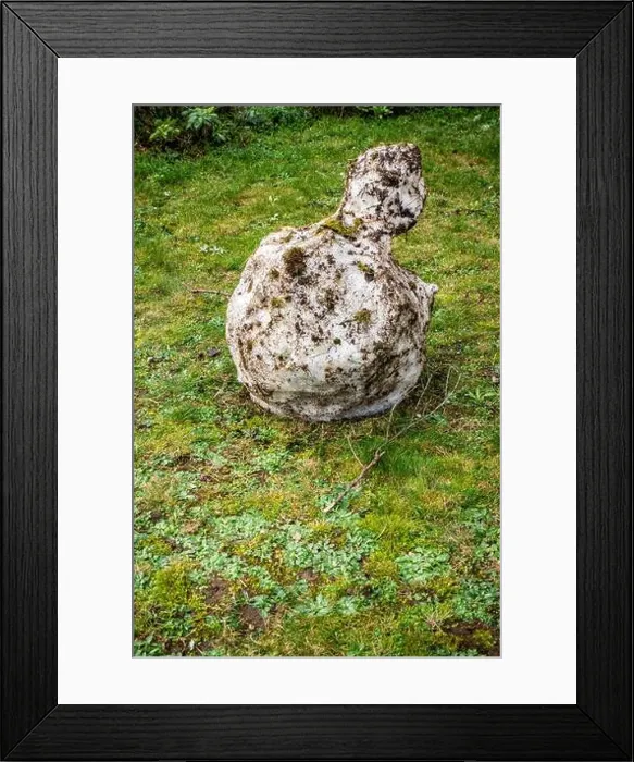 Framed Print : melting old snowman in warm garden Framed Print : melting old snowman in warm garden