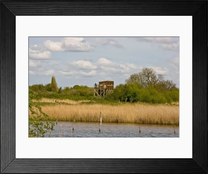 Framed Print : Bird watching hide set amongst protected landscape Attenborough Nature Reserve Nottingham Nottinghamshire east Midlands