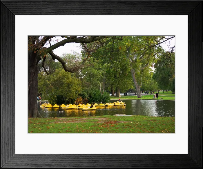 Framed Print : Boating lack Regents Park London Framed Print : Boating lack Regents Park London