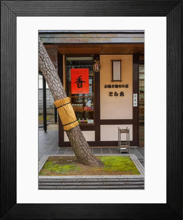 Framed Print : Tree on the pavements in village, japan Framed Print : Tree on the pavements in village, japan