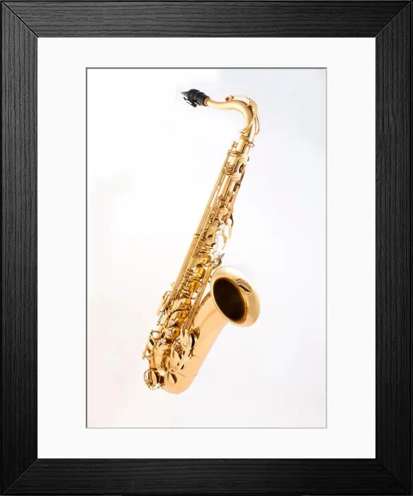 Framed Print : Alto Saxophone Framed Print : Alto Saxophone