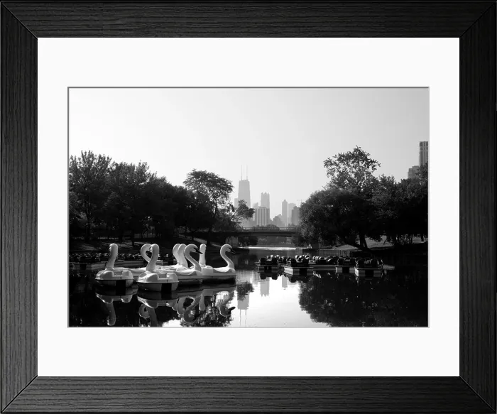 Framed Print : SWAN BOATS SOUTH POND LINCOLN PARK CHICAGO ILLINOIS USA Framed Print : SWAN BOATS SOUTH POND LINCOLN PARK CHICAGO ILLINOIS USA
