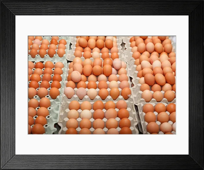 Framed Print : Fresh eggs, free-range eggs in an egg carton on a market stall, Bremen, Germany Framed Print : Fresh eggs, free-range eggs in an egg carton on a market stall, Bremen, Germany