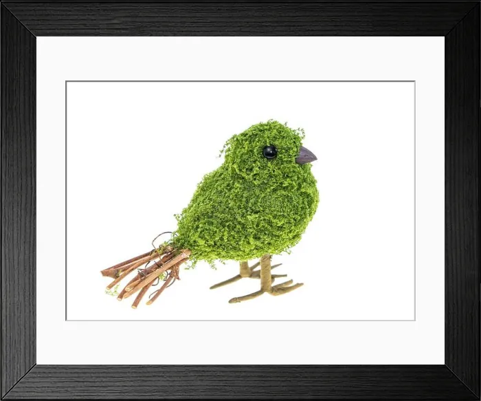 Framed Print : green bush sculpture in shape of bird Framed Print : green bush sculpture in shape of bird