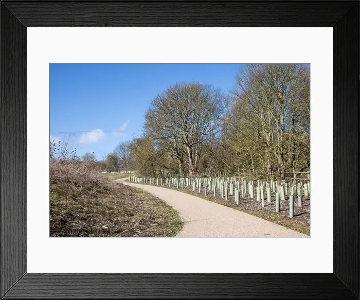 Framed Print : Waterside Country Park, Bishops Stortford Framed Print : Waterside Country Park, Bishops Stortford