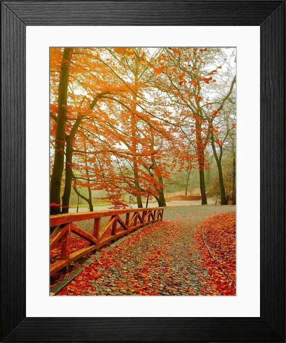 Framed Print : Autumn. Fall scene. Beautiful Autumnal park. Beauty nature scene. Autumn Trees and Leaves, in Sunlight