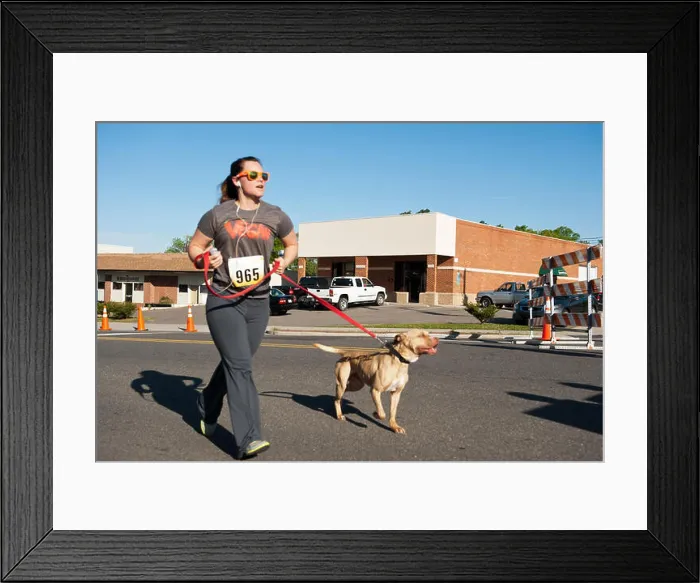 Framed Print : Lady 5k 10k marathon competitor racing toward finish line with dog Framed Print : Lady 5k 10k marathon competitor racing toward finish line with dog