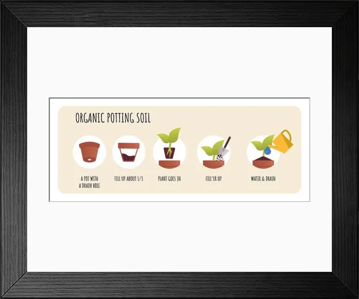 Framed Print : Potting soil mix concept. Organic Soil for Plants. Planting preparation stage Framed Print : Potting soil mix concept. Organic Soil for Plants. Planting preparation stage
