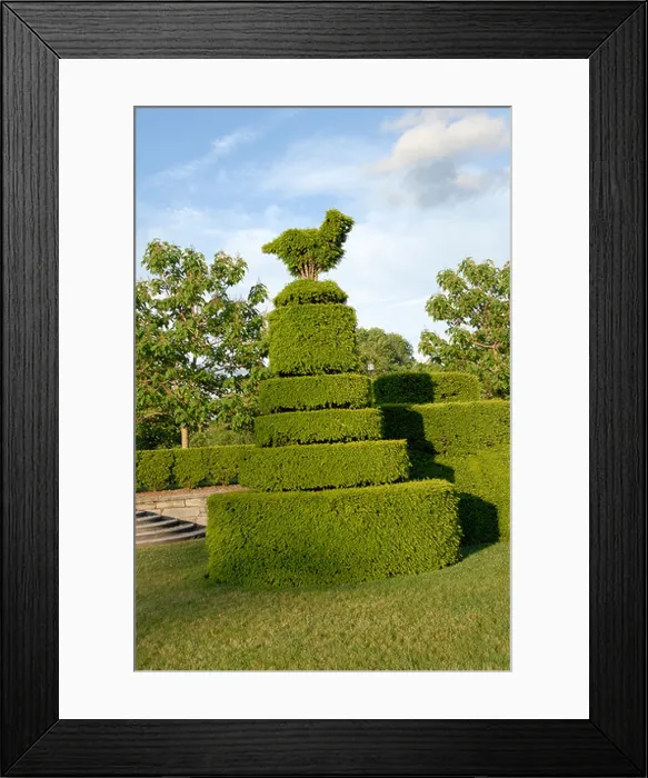 Framed Print : Longwood Gardens near Philadelphia Topiary Philadelphia Pennsylvania PA USA Framed Print : Longwood Gardens near Philadelphia Topiary Philadelphia Pennsylvania PA USA