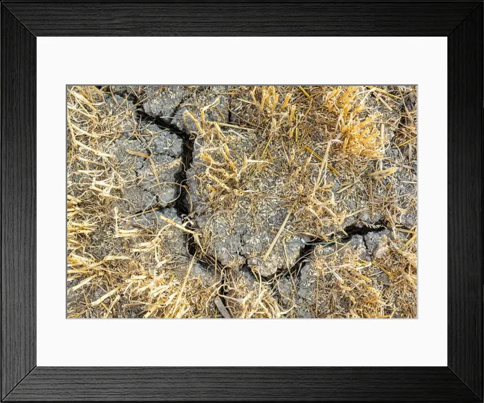 Framed Print : Close-up view from above of the cracked, dry soil in a field of wheat recently harvested in the french countryside Framed Print : Close-up view from above of the cracked, dry soil in a field of wheat recently harvested in the french countryside
