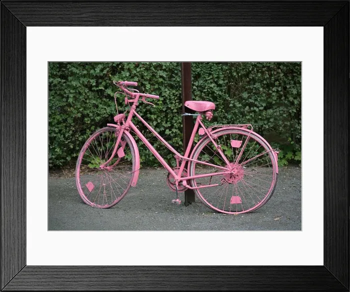 Framed Print : Pink painted bicycle with flat tires as decoration in front of a hedge Framed Print : Pink painted bicycle with flat tires as decoration in front of a hedge