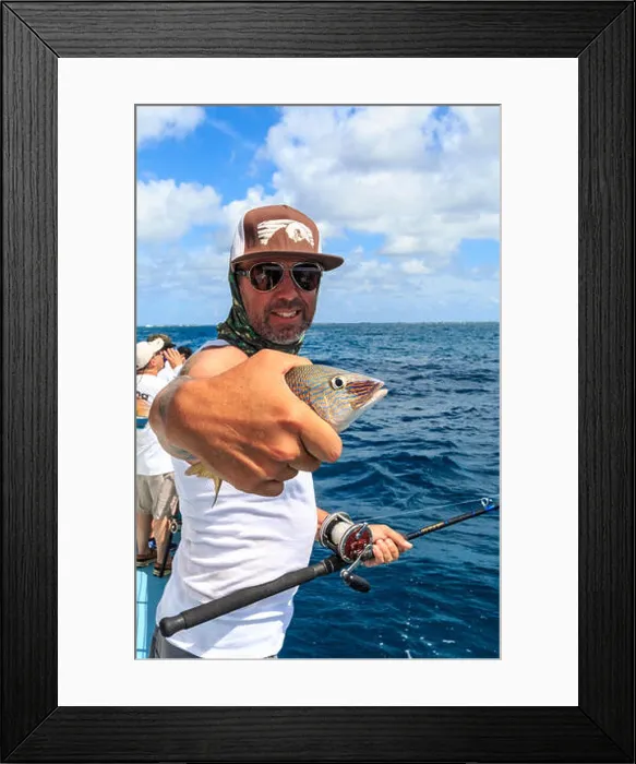 Framed Print : French Grunt caught on fishing party boat off Islamorada in the Florida Keys Framed Print : French Grunt caught on fishing party boat off Islamorada in the Florida Keys