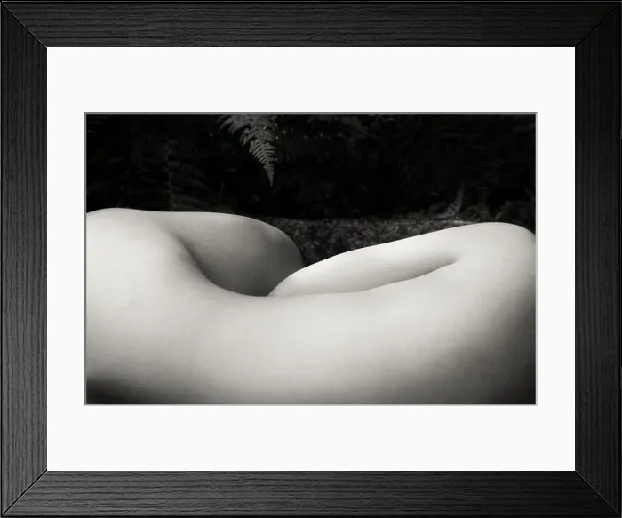 Framed Print : female nude lying down with back to camera Framed Print : female nude lying down with back to camera