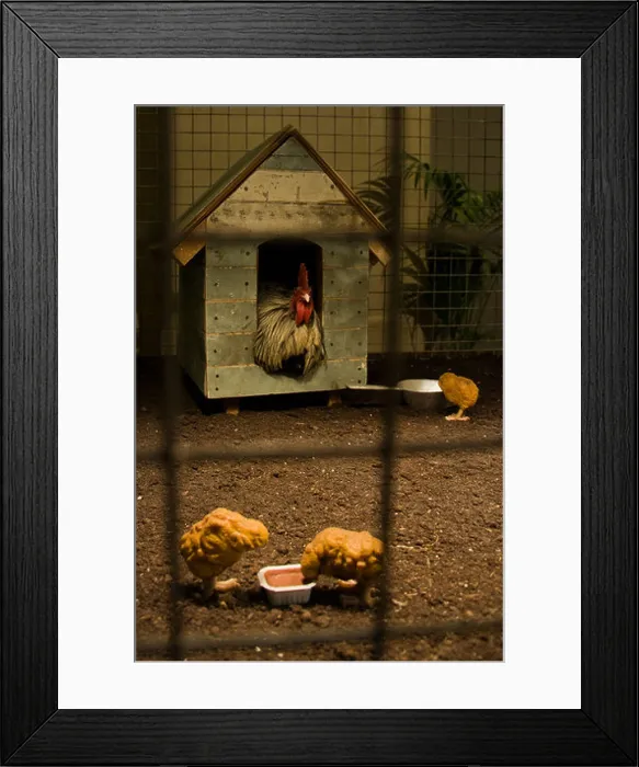 Framed Print : Banksy installation of a hen in a coop and 3 chicken nuggets dipping into pots Framed Print : Banksy installation of a hen in a coop and 3 chicken nuggets dipping into pots