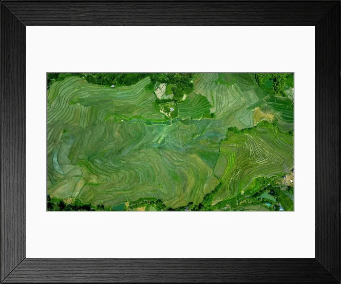 Framed Print : Aerial view of Rice terrace in Luang Prabang, Laos Framed Print : Aerial view of Rice terrace in Luang Prabang, Laos