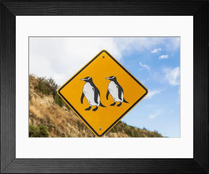 Framed Print : Oceania, New Zealand, South Island, Southland, Otago, Oamaru, Penguin sign Framed Print : Oceania, New Zealand, South Island, Southland, Otago, Oamaru, Penguin sign