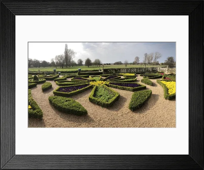 Framed Print : Formal parterre / Knot garden with spring flowers at a English county house, with parkland behind Framed Print : Formal parterre / Knot garden with spring flowers at a English county house, with parkland behind