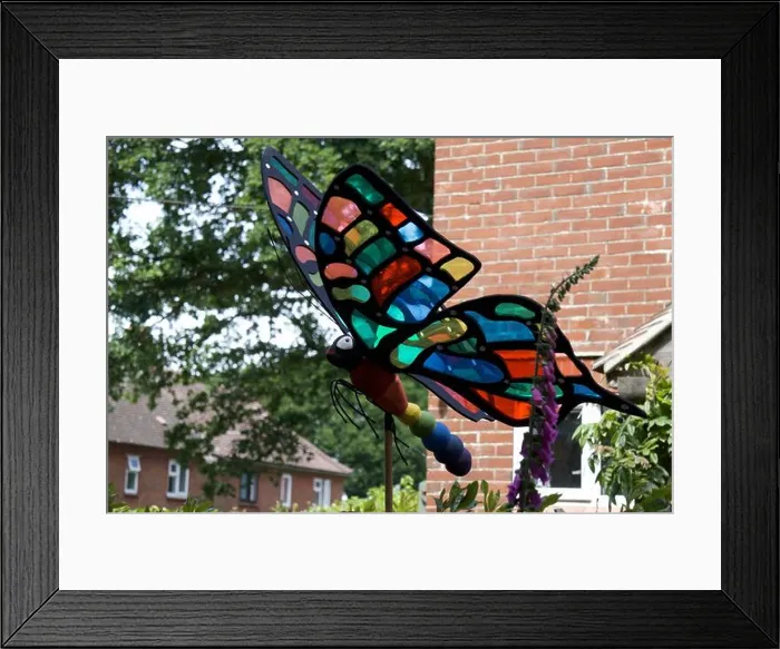 Framed Print : Art at New Forest during the lockdown / COVID-19 period in 2020 Framed Print : Art at New Forest during the lockdown / COVID-19 period in 2020