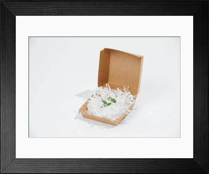 Framed Print : Plant stock surrounded with fillings in a paper container over white background. Eco friendly packaging concept