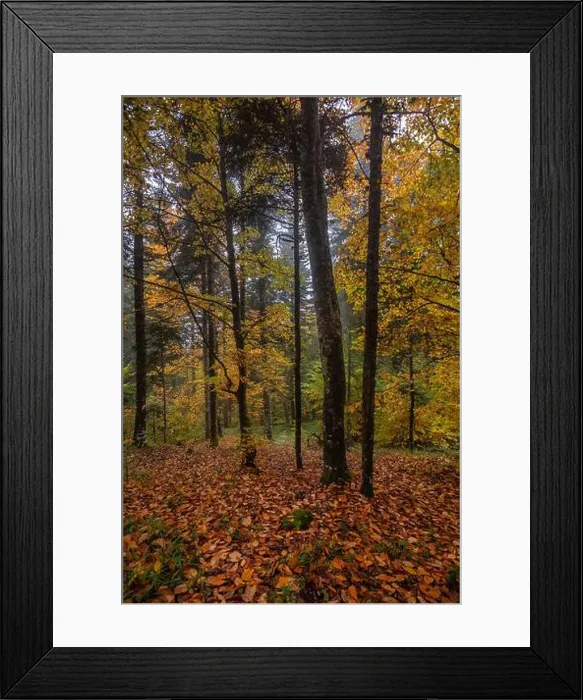 Framed Print : Scenic autumn landscape of Aladag Mountains Framed Print : Scenic autumn landscape of Aladag Mountains