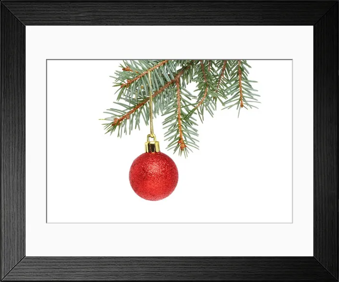 Framed Print : A red Christmas bauble hanging from a branch of a Christmas tree isolated against white Framed Print : A red Christmas bauble hanging from a branch of a Christmas tree isolated against white