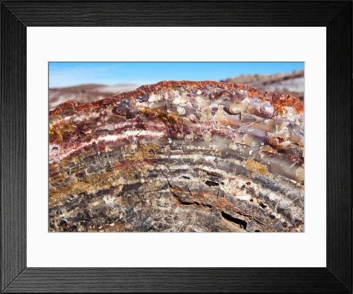 Framed Print : Petrified Forest National Park Framed Print : Petrified Forest National Park