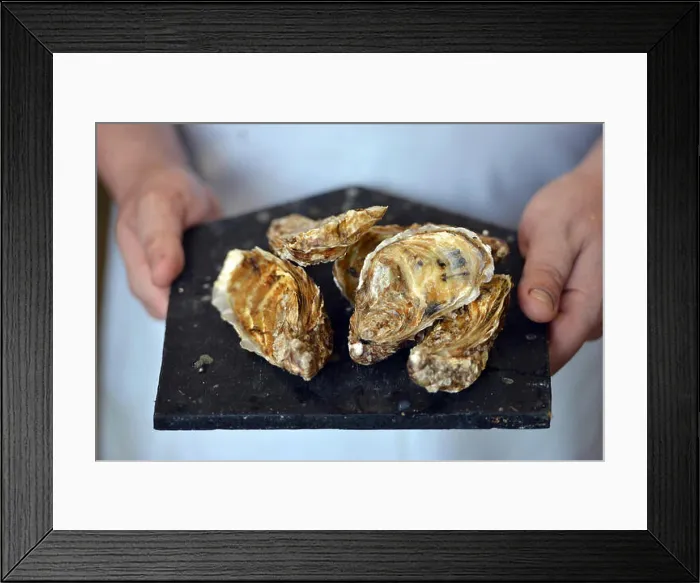 Framed Print : Whitstable oysters Framed Print : Whitstable oysters